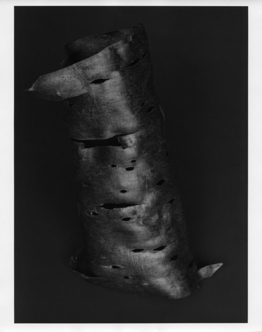 Peter Campus &quot;Hollow&quot; 1988 Silverprint photograph 39&quot; x 29 1/2&quot;