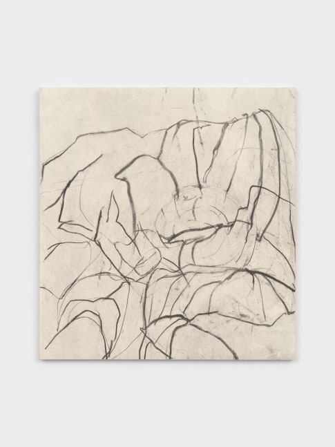 Beatrice Caracciolo The Blind (heads) 26, 2023 pigment and charcoal on Arches paper mounted on canvas 45 x 42 in. (114.3 x 106.7 cm)