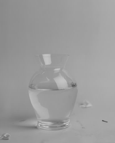 Bing Wright "Rose (Empty Vase) 1996-2006 Archival inkjet print 53 x 43 in.