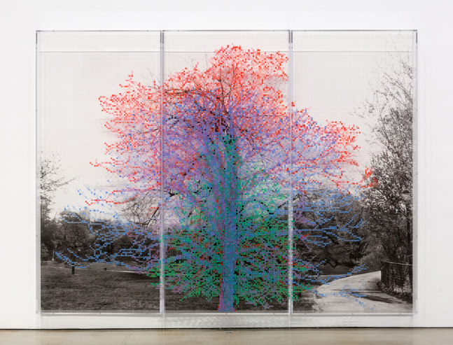 Charles Gaines Numbers and Trees, Central Park, Series I: Tree #4, Kent, 2015 Acrylic, ink jet print, plexiglass 2 panels each: 95 x 42 x 5.75 in. (243.8 x 106.7 x 14.6 cm) center panel 95 x 42 1/2 x 5.75 in. (243.8 x 108 x 14.6 cm) overall: 95 x 126 1/2 x 5.75 in. (243.8 x 321.3 x 14.6 cm)