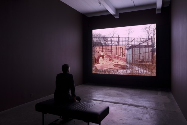 Installation view, Amy O’Neill, THE ZOO REVOLUTION, September 7 – October 19, 2019