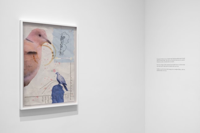 Installation view 3, Walid Raad, We have never been so populated, March 8 – April 16, 2022, 524 W 26th Street