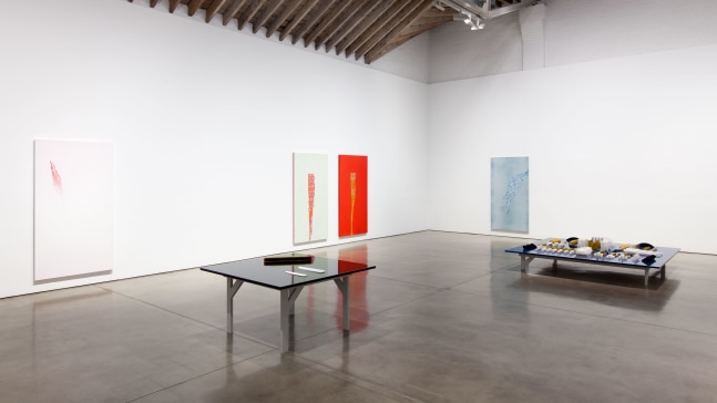Installation view, Tauba Auerbach, Projective Instrument, January 9 – February 13, 2016
