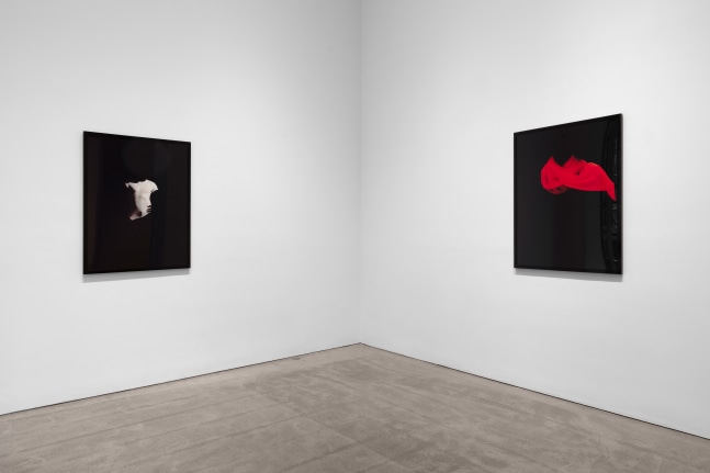 Installation view, Sarah Charlesworth, Douglas Huebler, Donald Judd, Walid Raad, Veronica Ryan, August 6 &amp;ndash; 28, 2020