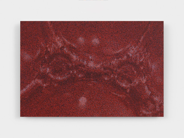 Tauba Auerbach 
Foam, 2023
acrylic on dibond
16 x 24 x 1 in. (40.6 x 61 x 2.5 cm)