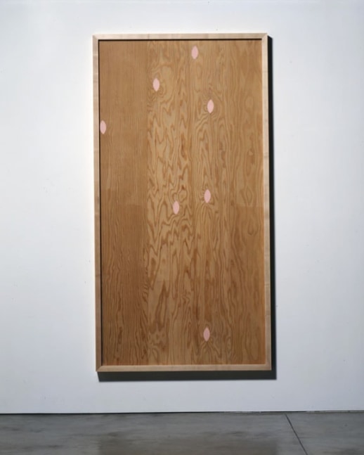Sherrie Levine "Pink Knot: 2" 2003 Acrylic paint on plywood 96 x 48 in.