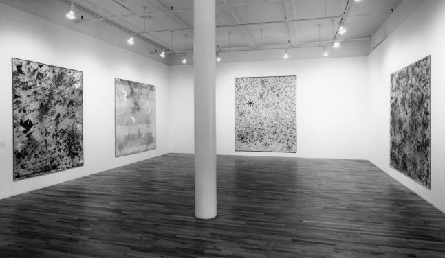 Installation view, Shorebird Identification Chart, Paula Cooper Gallery, 149 Wooster Street, New York, May 22 - June 16, 1993. © 2025 Alan Shields / Artists Rights Society (ARS), New York. Courtesy Paula Cooper Gallery, New York. Photo: Geoffrey Clements.