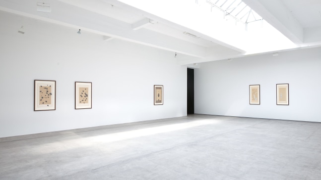 Installation view, Bruce Conner, Falling Leaves: An Anonymous Memorial, August 30 – September 24, 2011