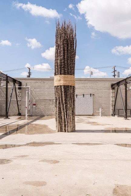 Jackie Winsor 30 to 1 Bound Trees, 1971-72 (destroyed 1972; remade 2016), 1 tree, 30 saplings, hemp rope 20’ x 5' diameter Installation view, "Revolution in the Making: Abstract Sculpture by Women, 1947 – 2016," Hauser Wirth & Schimmel, Los Angeles CA, 2016