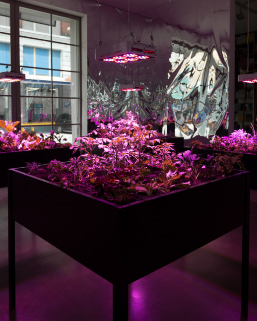 Installation view, Meg Webster, May 7 – July 12, 2016