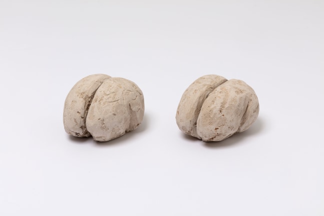 Robert Gober Untitled (Pair of Brains), 1982 plaster and wire lath 1 @ 3 1/2 x 6 1/4 inches (8.9 x 15.9 cm) 1 @ 4 x 6 1/2 inches (10.2 x 16.5 cm)