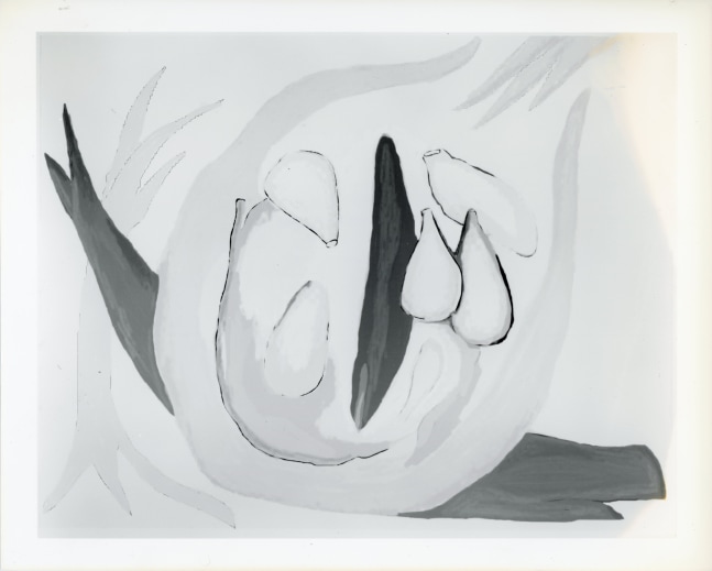 Peter Campus &quot;I wake still dreaming&quot; 1989 Computer drawing on photographic paper 20&quot; x 24&quot; edition 1/6