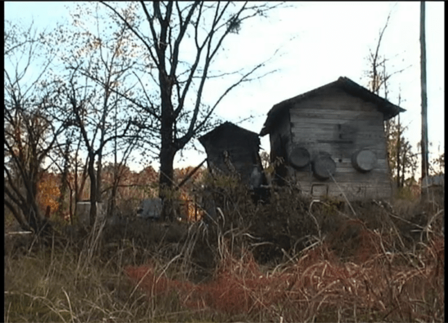 Ralph Lemon Walter Harvesting String, 2006 video (color, sound) 20 minutes, looped