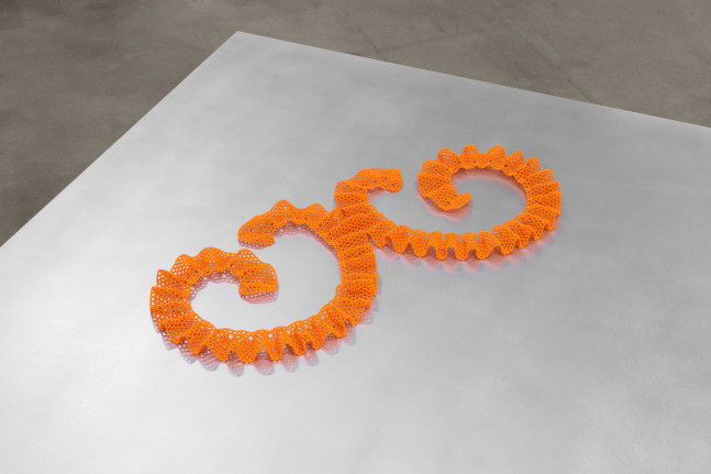 Installation view of Org (2023) in Tauba Auerbach: Free Will, Paula Cooper Gallery, New York, March 18 - April 22, 2023. Photo: Steven Probert