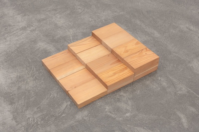 Carl Andre
Douglas Fir Step, Los Angeles, 2009
Douglas Fir
24-unit three-tiered stepped array on floor; top tier of 4 horizontals, side by side (1x4), on top of center tier of 8 horizontals (2x4), on top of base tier of 12 horizontals (3x4), all tiers abutting at one end
each: 1 3/4 x 9 1/2 x 5 3/4 in. (4.4 x 24.1 x 14.6 cm)
overall: 5 1/4 x 28 1/2 x 23 in. (13.3 x 72.4 x 58.4 cm)
