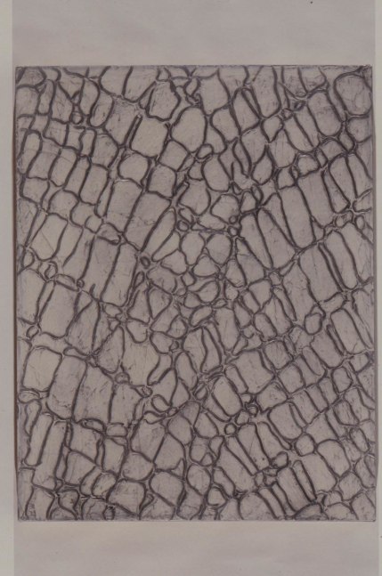 Julian Lethbridge &quot;Untitled&quot; 1990 Graphite, acrylic and liquid mask on paper 22 3/8&quot; x 17 1/2&quot;