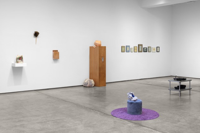 Installation view, Veronica Ryan: Retrieval, Paula Cooper Gallery, New York, October 16 - November 22, 2025. © Veronica Ryan. Courtesy Paula Cooper Gallery, New York. Photo: Steven Probert.