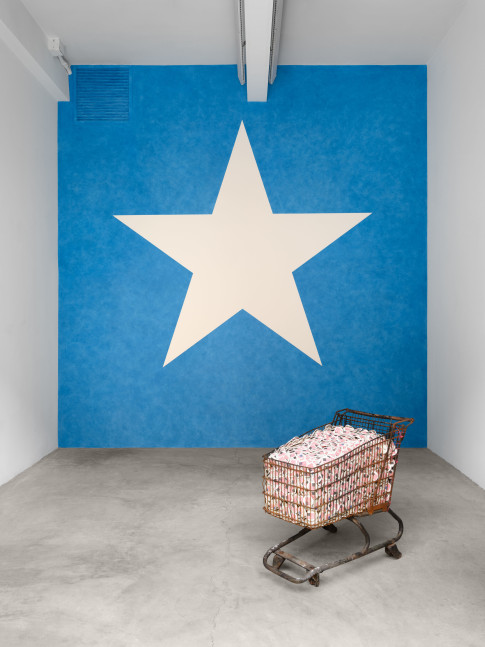 Installation view, Flags: A Group Show, Paula Cooper Gallery, New York, September 7 – October 26, 2024. Courtesy Paula Cooper Gallery, New York. Photo: Steven Probert