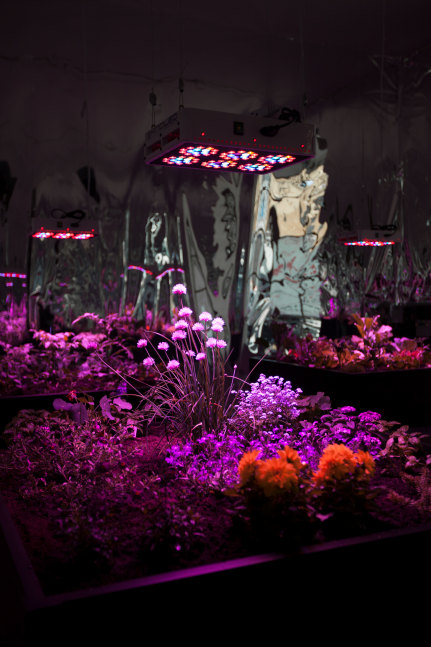 Installation view, Meg Webster, May 7 – July 12, 2016