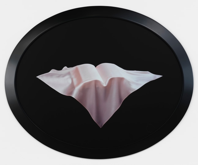 Sarah Charlesworth Pleasure of the Text, 1992–1993 Cibachrome with lacquered wood frame 33 1/2 x 41 1/2 in. (85.1 x 105.4 cm)