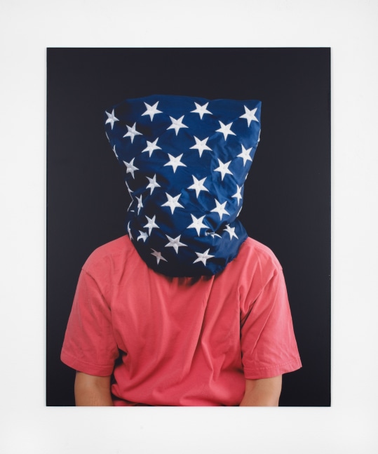 Hans Haacke Star Gazing, 2004 digital C-print on aluminum 20 x 30 in. (50.8 x 76.2 cm) Edition 1 of 3
