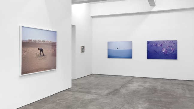 Installation view, Sophie Calle, Hans Haacke, Robert Grosvenor, Robert Gober, Christian Marclay, Carey Young, Photographs, March 26 – April 23, 2016