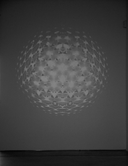 Céleste Boursier-Mougenot "virus" 2006 Video loop for 4:3 projection on white wall 22 min. Variable dimensions