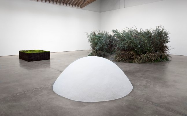 Installation view, Meg Webster, May 7 – July 12, 2016