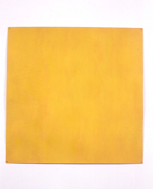 Meg Webster &quot;Tumeric&quot; 2000 Tumeric on paper 20 5/8 x 20 5/8&quot;