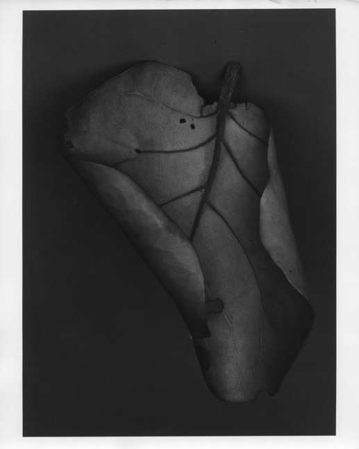 Peter Campus &quot;Traces of Memory&quot; 1988 Silverprint photograph 39 1/8&quot; x 29 5/8&quot;