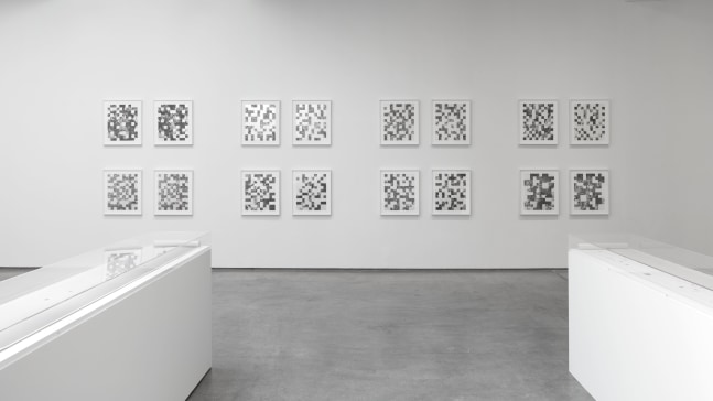Bing Wright Bing Wright, Installation view, Paula Cooper Gallery, New York, March 16 – April 15, 2017