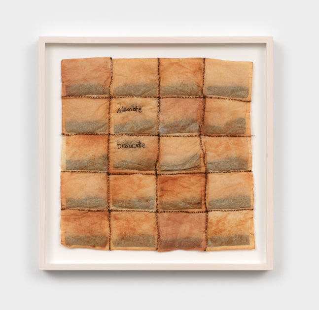 Veronica Ryan
Associate Dissociate, 2005
tea bags, thread
11 1/4 x 11 in. (28.6 x 27.9 cm)
frame: 13 7/8 x 13 7/8 x 1 1/2 in. (35.2 x 35.2 x 3.8 cm)