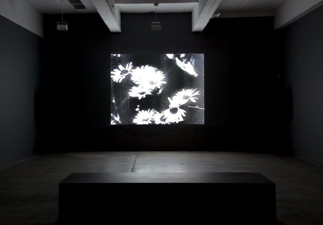 Installation view, Bruce Conner, Falling Leaves: An Anonymous Memorial, August 30 – September 24, 2011
