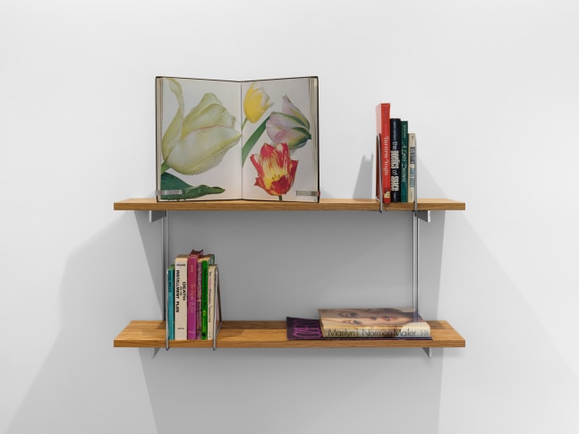 Carol Bove
Tantra Yoga, 2005
books and periodicals on wood and steel bookshelf
36 x 30 x 10 in. (91.4 x 76.2 x 25.4 cm)
Photo: Steven Probert