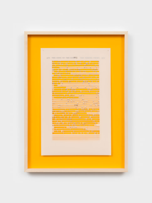 Jane Benson The Coming Thing (David Quammen) VI, 2023 archival pen on polyester film and acrylic paint on matboard 20 5/8 x 14 in. (52.4 x 35.6 cm)