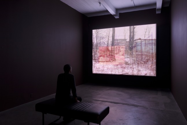 Installation view, Amy O’Neill, THE ZOO REVOLUTION, September 7 – October 19, 2019