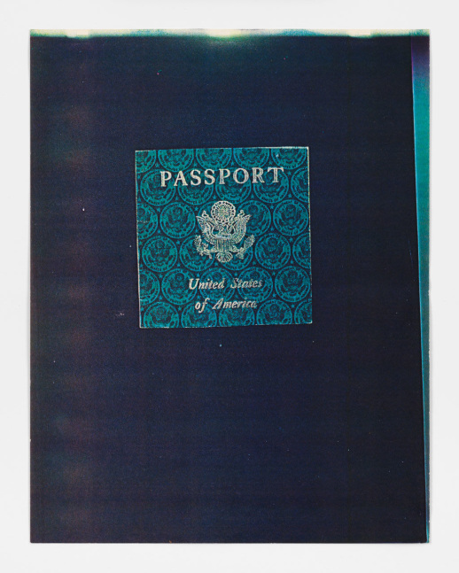 Carl Andre "Passport" 1970 88 color Xerox copies 33 5/8" x 21' 7 5/8"