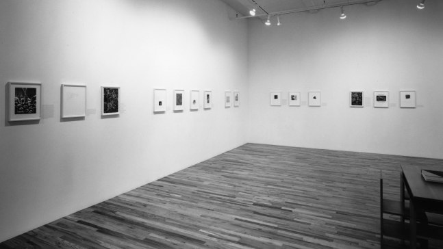 Installation view, A Bestiary, Paula Cooper Gallery, 149 Wooster Street, New York, May 30 - June 28, 1991. Photo: Geoffrey Clements.