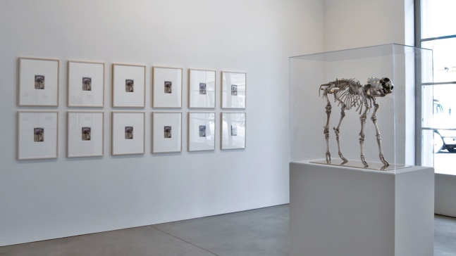 Installation view, Sherrie Levine, Paula Cooper Gallery, 534 W 21st Street, New York. April 3 - May 5, 2008. © Sherrie Levine.