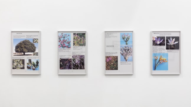 Installation view, Walid Raad, Better be watching the clouds, May 19 – July 14, 2017