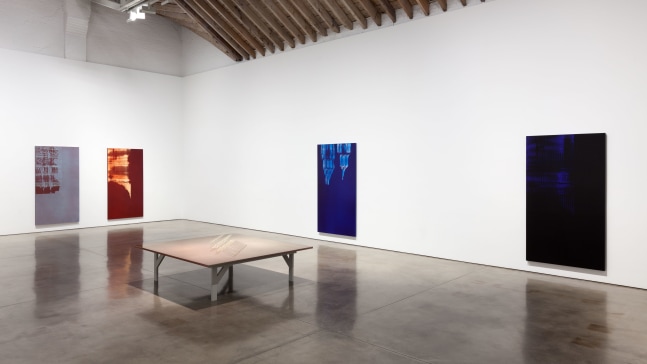 Installation view, Tauba Auerbach, Projective Instrument, January 9 – February 13, 2016