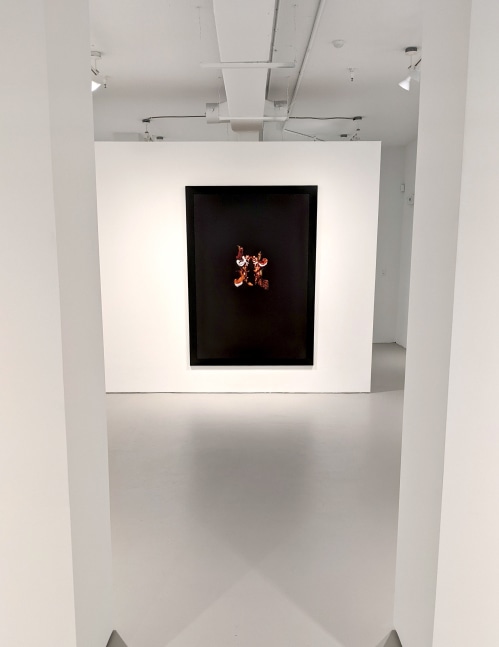 Installation view, Carte Blanche II - A Changing Group Exhibition, June 7th - July 15th, 243A Worth Avenue, Palm Beach