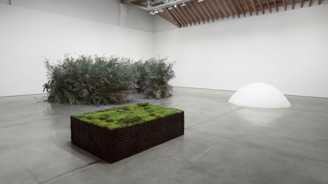 Installation view, Meg Webster, May 7 – July 12, 2016