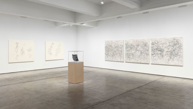 Installation view, Beatrice Caracciolo, Il Bosco Lontano, January 6 – February 3, 2018