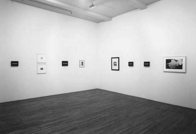 Installation view, Pictures of the Real World (In Real Time), Paula Cooper Gallery, 155 Wooster Street, New York, February 11 - March 12, 1994. Photo: Geoffrey Clements.