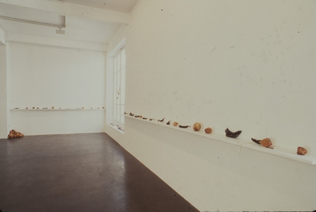 Zoe Leonard "Strange Fruit (For David)" 1992-97 295 banana, orange, grapefruit, lemon and avocado peels, thread, zippers, buttons,  sinew, needles, plastic, wire, stickers, fabric trim, wax 21 '6" X 22'1 1/2" (655.3 x 674.4 cm)