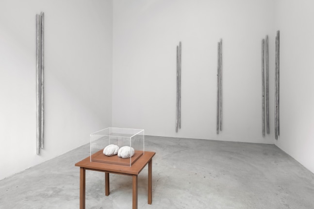 Installation view, Andrei Koschmieder, Robert Gober, Curated By Laura Hunt, November 3 – December 20, 2017