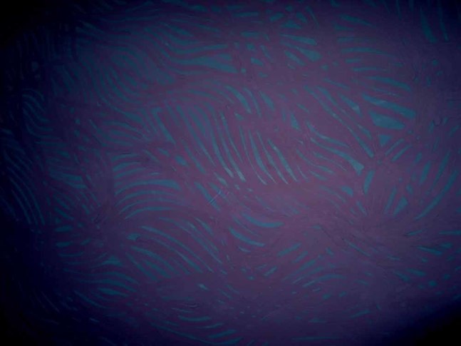 Sol LeWitt "Web-like Grid" 2001 Gouache on paper 60 1/2 x 68 1/4 in.