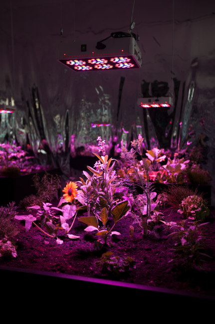 Installation view, Meg Webster, May 7 – July 12, 2016
