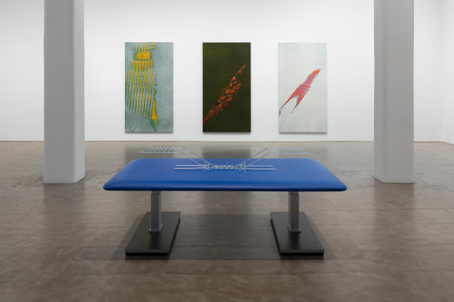 Installation view, Tauba Auerbach, A BROKEN STREAM, November 10 – December 15, 2018